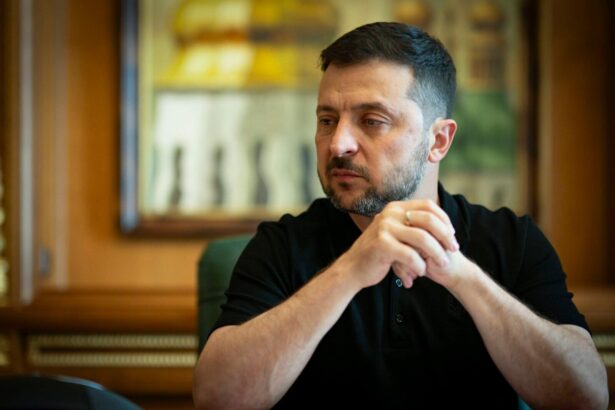 zelenski despre noii lideri ai ungariei exista perspective de relansare a relatiilor 6a0c3c49adc31