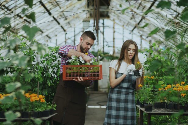 zilele horticulturii bucurestene peste 120 de producatori locali si expozanti prezenti 69fc288d87f02