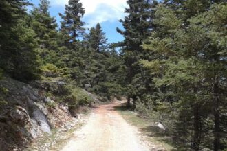 aventura unor turisti romani in drum spre vacanta din grecia ne am trezit in nicaieri am crezut ca murim 6a27bf23da034
