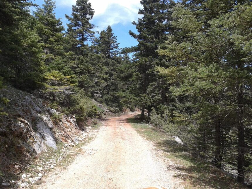 aventura unor turisti romani in drum spre vacanta din grecia ne am trezit in nicaieri am crezut ca murim 6a27bf23da034