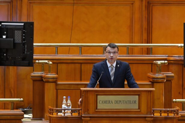 bogdan rodeanu respinge ideea guvernului tehnocrat exact ce le convine celor de la psd si aur 6a232a4f2b7c3
