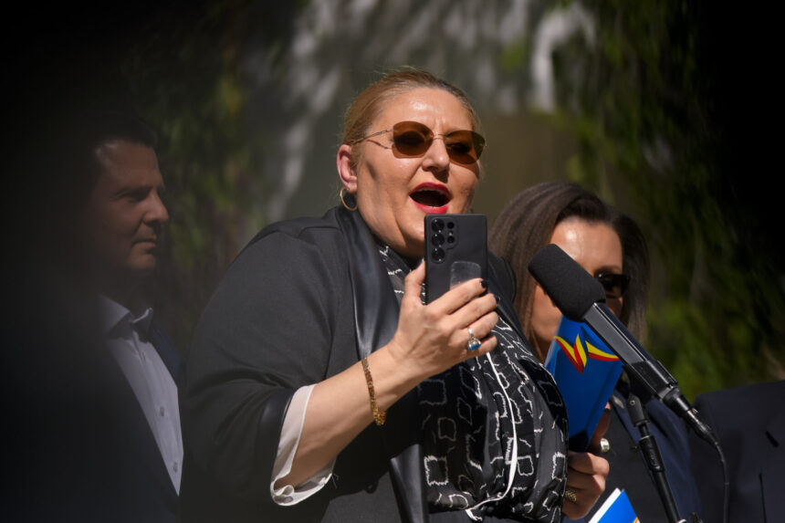 cum vede diana sosoaca iesirea din criza politica guvern minoritar sos aur sau anticipate 6a33b0d21112b