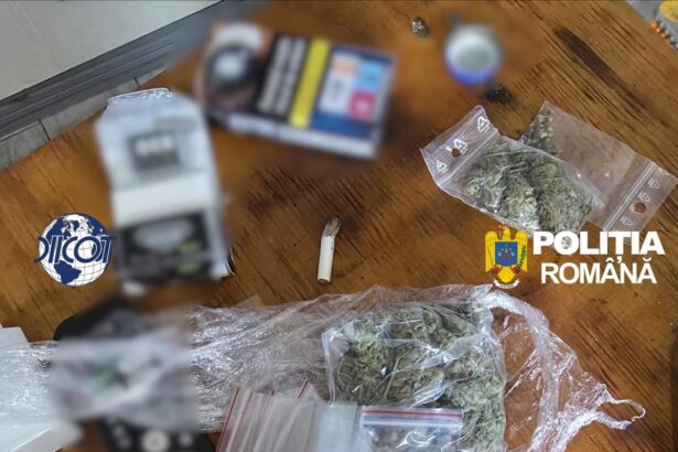 descinderi la o grupare de traficanti srilankezi dupa ce unul dintre ei a murit dupa un cocktail de cocaina amfetamina si metamfetamina 6a391e66149de