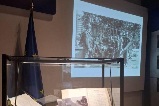 expozitie inedita la mae documente diplomatice declasificate despre mineriada din iunie 1990 6a2eafa923dc3