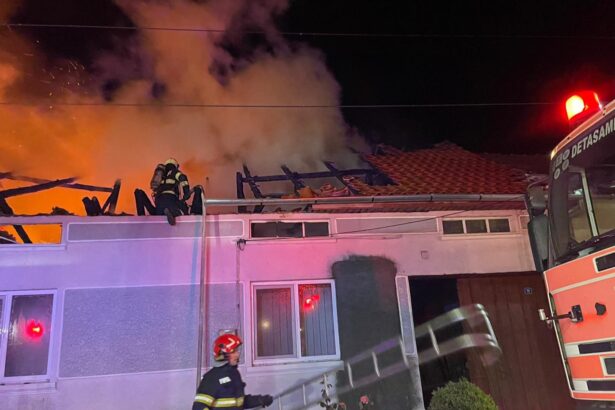 incendiu in caras severin trei locuinte au fost cuprinse de flacari in slatina timis zeci de pasari au murit 6a37856646a35