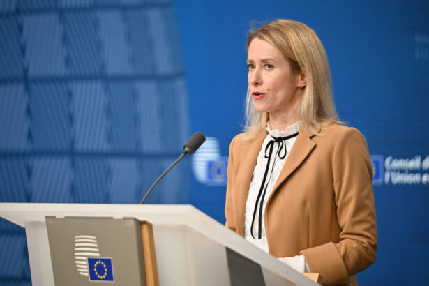 kaja kallas avertisment dupa incidentul cu drona din constanta razboiul rusiei se extinde pe teritoriul ue discutie telefonica cu oana toiu 6a22b636dee89