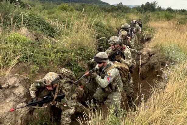 mapn anunta o noua recrutare sunt disponibile aproape 7 000 de posturi in unitati militare din toata tara 6a32ce628efad