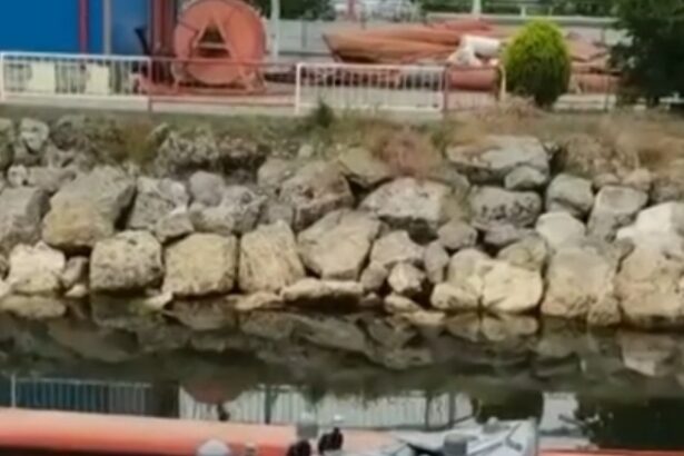 mapn drona maritima din portul constanta s a autodetonat 6a228734327f3