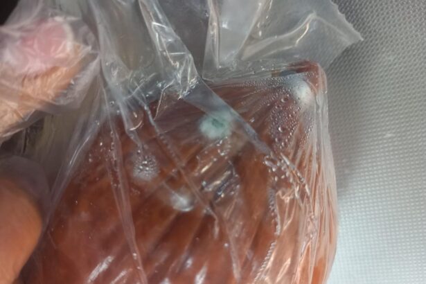 mucegai rugina si alimente expirate neregulile gasite de anpc in doar cateva zile 6a3649019e181