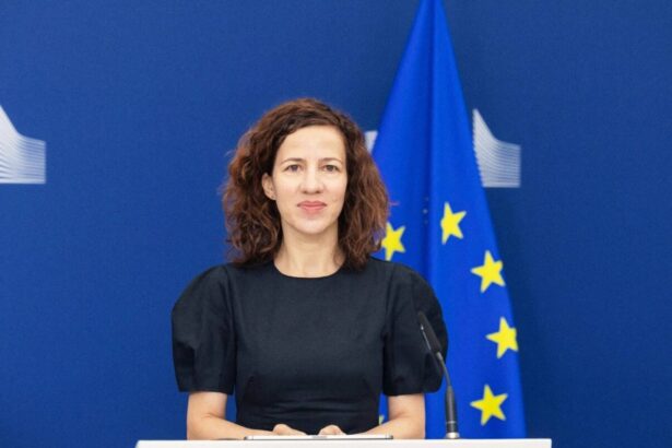 o romanca la masa marilor puteri roxana minzatu reprezinta ue la g7 si la conferinta internationala a muncii 6a2836c60eeae