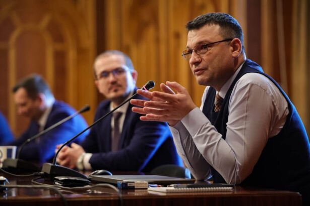 rodeanu critica guvernul tomac jucaria tehnocrata cu care grindeanu si simion vor sa se joace 6a2717ec086eb