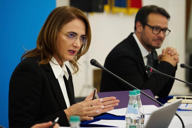 sefa curtii supreme lia savonea il pune la zid pe ilie bolojan doua teme in care a manipulat profesionist opinia publica impotriva justitiei 6a280dd72e20e