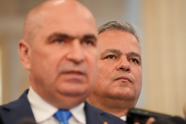 timpul arma pe care se bazeaza tabara anti bolojan pentru debarcarea actualului presedinte pnl cand ar putea avea fi investit adrian vestea 6a2fefc07b7fd
