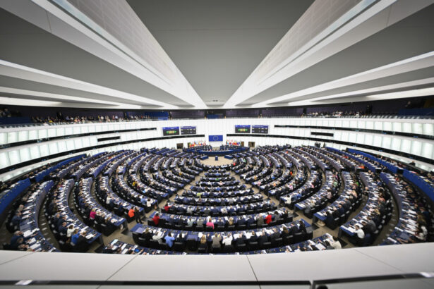ue isi testeaza forta economica la strasbourg comertul cu sua si regulile pentru ai deschid plenara parlamentului european 6a2ff48d92e70