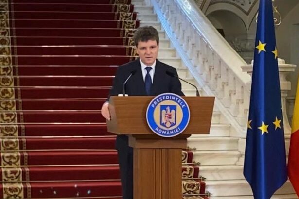 vicepresedinte pnl nicusor dan nu mai are legitimitate a devenit executantul psd 6a30fc1b3361d