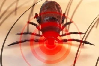 alergia rara provocata de muscatura de capusa care poate fi fatala primul deces cunoscut la nivel mondial ii ingrijoreaza pe medici 6a5f886d41113