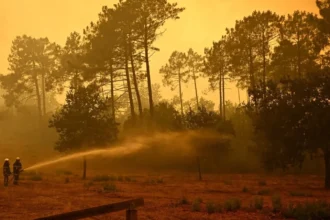 alerta in franta caldura si vantul ameninta sa intensifice incendiile uriase din apropiere de bordeaux 6a6a02d686221
