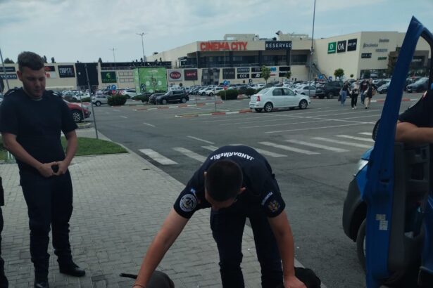 alerta in galati doi caini amstaff liberi in parcarea unui mall 6a5392aa72123