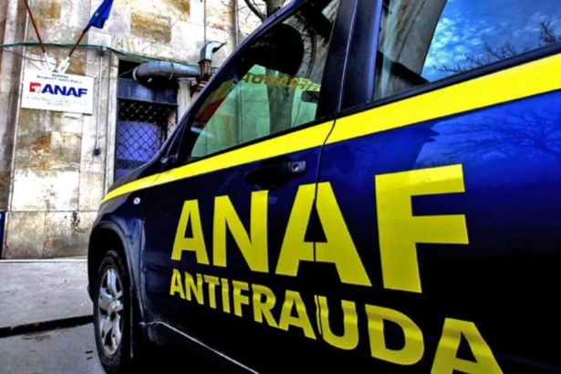 anaf ar trebui sa elaboreze o metodologie sau un ghid privind analiza serviciilor intragrup construit pe baza principiilor oecd 6a6b17799fe73