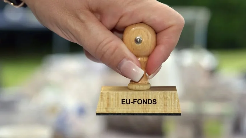 angajatii fondurilor europene se revolta dupa atacurile lui bolojan ne transforma in tapi ispasitori desi aducem miliarde romaniei 6a6790e839307