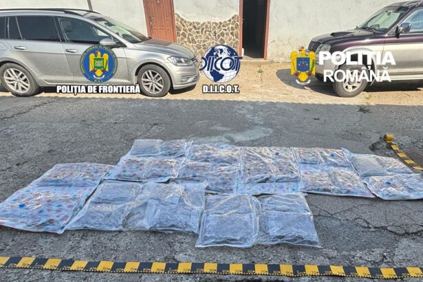 captura de droguri la petea 38 de kilograme de canabis gasite in plafonul unei autoutilitare 6a5df479048bd