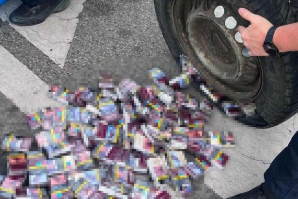 captura de tigari la granita cu bulgaria 10 000 de pachete ascunse in roata de rezerva si in bagaje 6a4e199cc9590