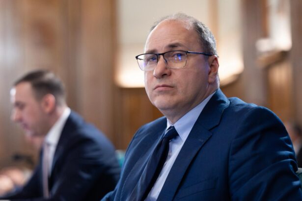 cine are interes sa ramana guvernul in interimat raspunsul ironic al unui ministru 6a510beac15f3