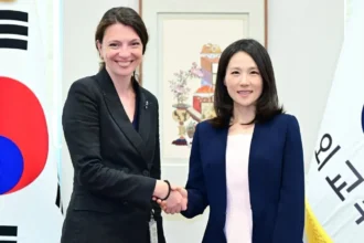 clara volintiru secretar de stat in mae si vice ministrul de externe al coreei de sud au discutat extinderea cooperarii bilaterale in domeniul inteligentei artificiale culturii si dezvoltarii inter 6a661c41527d0