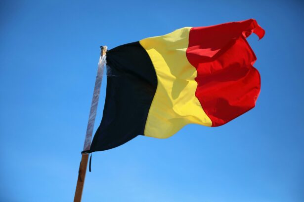 doi cetateni romani implicati in incendiul din bruxelles unul a murit altul este in stare grava 6a5776c1a13bf