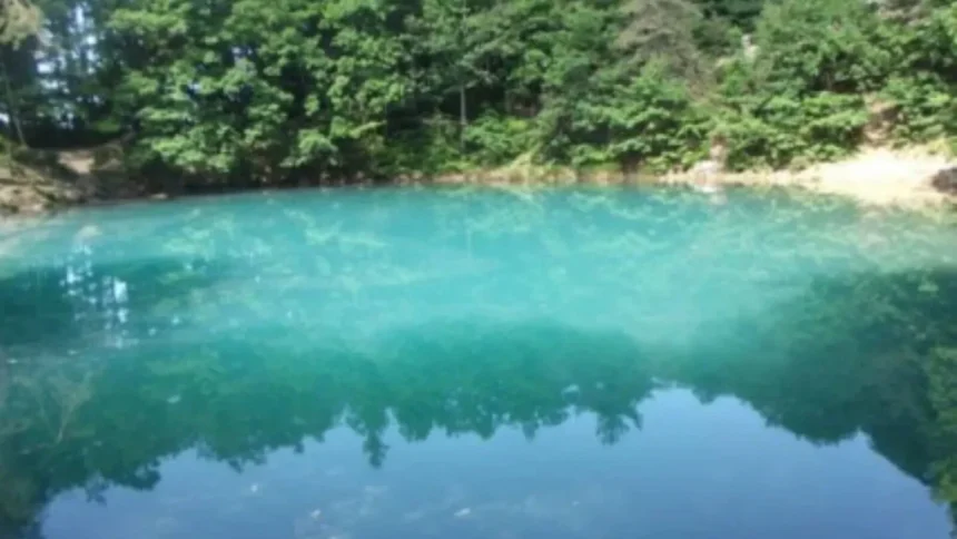 drumul spre lacul laguna albastra marcat pentru turisti si practicantii silvoterapiei 6a60b981e367f
