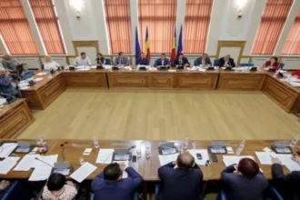 durata mandatului viceprimarului devine vechime in munca si in specialitatea studiilor absolvite personalul contractual din institutiile de stat va raspunde in solidar pentru daune legea merge la p 6a69e1dd27c0f