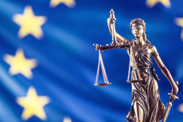 fost judecator al iccj acuza cjue ca sacrifica libertatile pentru bani bugetele se refac drepturile pierdute nu 6a68e53cc40e7