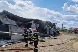 foto incendiu la o fabrica de mobila din bihor flacarile se au cuprins o hala de sute de metri patrati 6a64b87d68ca8