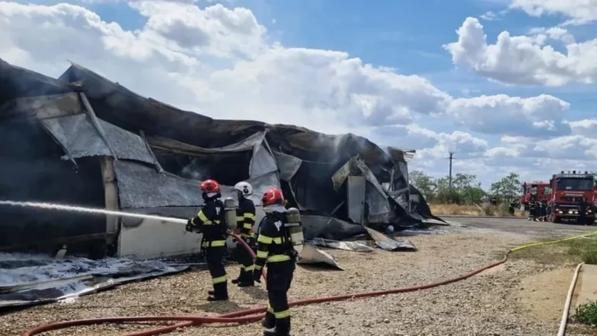 foto incendiu la o fabrica de mobila din bihor flacarile se au cuprins o hala de sute de metri patrati 6a64b87d68ca8