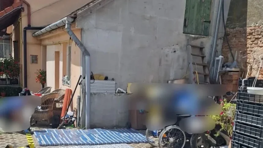 foto peste 106 000 de tigarete de contrabanda confiscate in urma unor perchezitii in sibiu si satu mare 6a6731488a05d