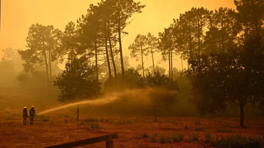 franta se confrunta cu un record istoric aproape 98 000 de hectare mistuite de incendii 6a64c3de8078e