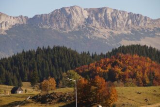 gumuteasca o limba veche de un secol este inca vorbita intr un sat din romania cand este folosita de localnici 6a46c18529039