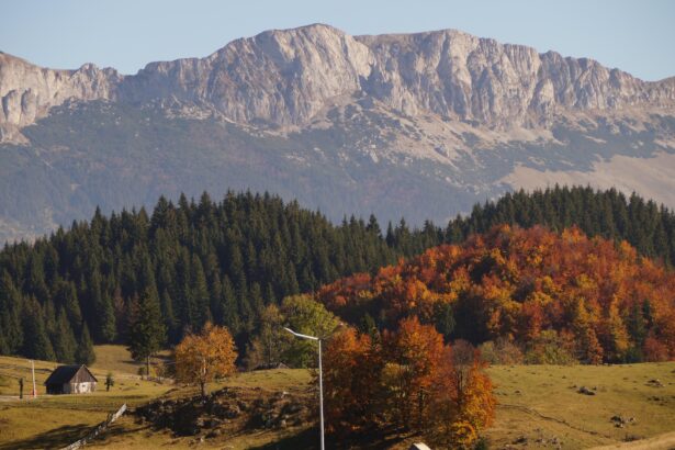 gumuteasca o limba veche de un secol este inca vorbita intr un sat din romania cand este folosita de localnici 6a46c18529039
