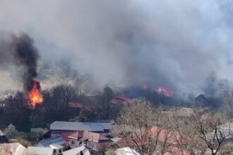 guvernul aloca noi ajutoare pentru persoanele afectate de incendiul din soveja vrancea procedura simplificata si despagubiri de pana la 90 din valoarea caselor 6a4f820c4e495