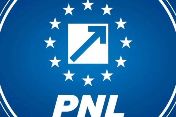 ilie bolojan va candida iar la sefia pnl liberalii anunta doua congrese in toamna 6a6ac535b74aa