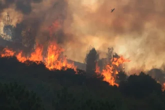 incendiile din spania se extind 3 500 de oameni au fost evacuati dintr o localitate de langa madrid 6a627c639ab22
