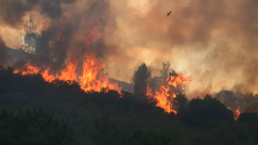 incendiu major in spania 12 sate au fost evacuate pedro sanchez avertizeaza asupra unei situatii extrem de tensionate 6a6b037bbc8eb