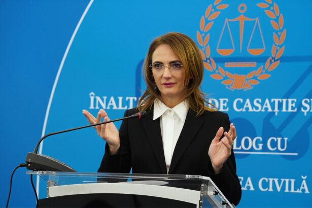 lia savonea castiga la ccr pe modificarea codului de procedura penala decizie luata in unanimitate 6a57586a61187