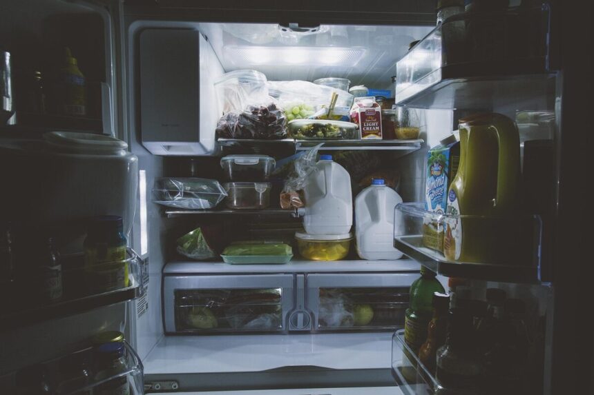 locul aparent sigur din frigider unde alimentele se strica mai repede ce nu trebuie pastrat pe usa 6a50bd5fc82d2