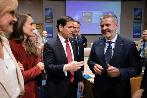 oana toiu discutii cu marco rubio si alti ministri de externe prezenti la summit miza noastra sa crestem profilul de furnizor de securitate 6a4e28993233e