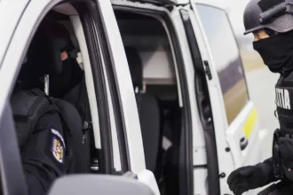 perchezitii in bistrita nasaud si satu mare intr un dosar de infractiuni economice prejudiciu estimat la peste 27 milioane de lei 6a6483bcd286d