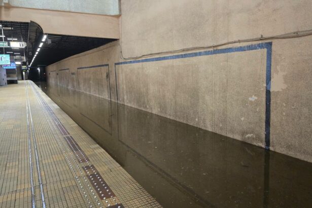 ploile au dat batai de cap in bucuresti o importanta statie de metrou inchisa dupa ce a fost inundata 6a44996b60de8