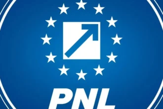 pnl dezvaluie de ce a picat legea integritatii psd a votat un amendament care legalizeaza politica cutiilor de pantofi 6a6b79b57edbc