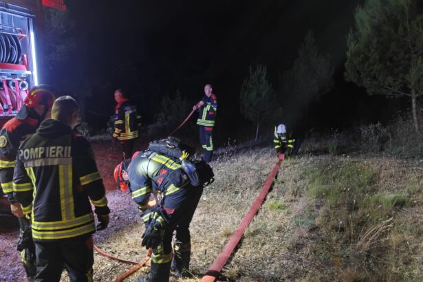 pompierii romani prima interventie in franta au luptat cu un incendiu de padure in sudul tarii 6a464eac1e606