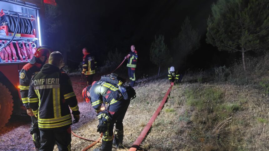pompierii romani prima interventie in franta au luptat cu un incendiu de padure in sudul tarii 6a464eac1e606